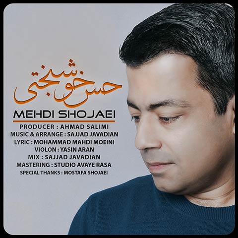 دانلود آهنگ مهدی شجاعی حس خوشبختی